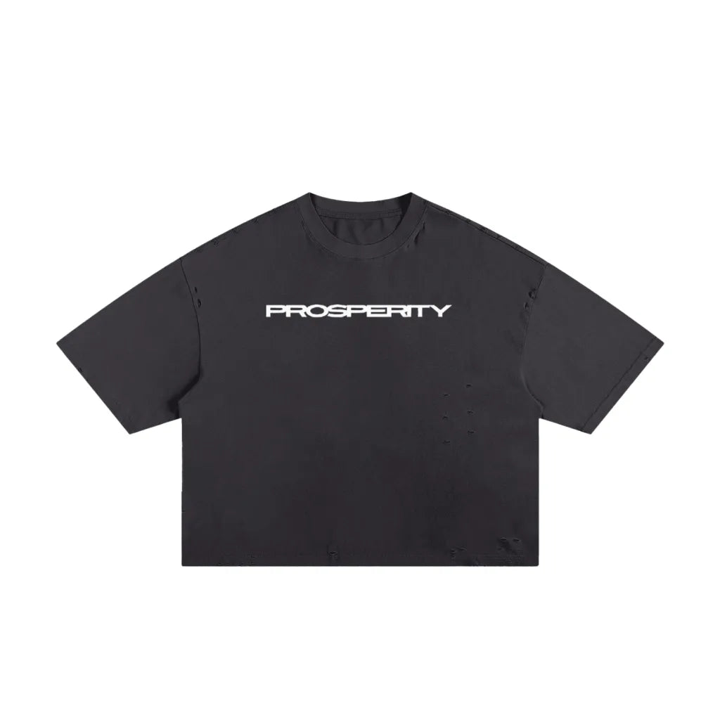 Prosperity T Shirt
